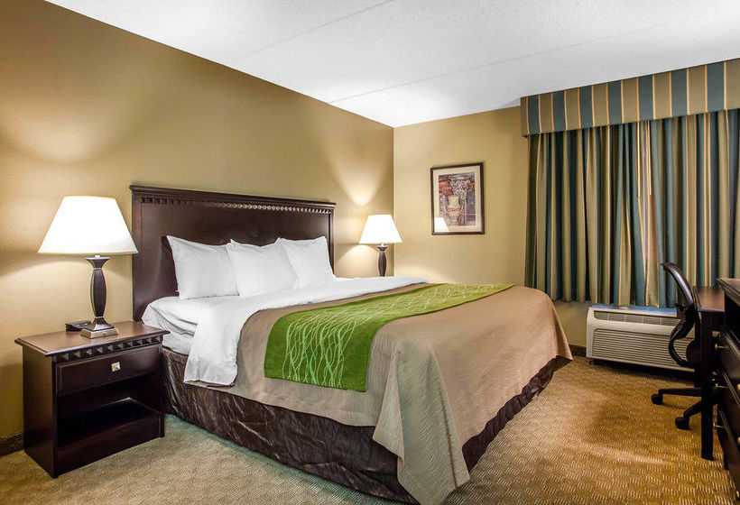Hotel Comfort Inn  | Edison | New Jersey | United States 17