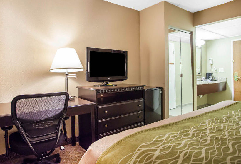 Hotel Comfort Inn  | Edison | New Jersey | United States 19