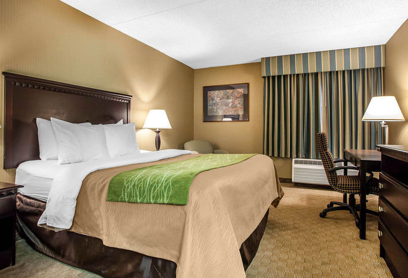 Hotel Comfort Inn  | Edison | New Jersey | United States 20
