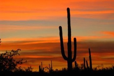 Hotel White Stallion Ranch  | Tucson | Arizona | United States 1