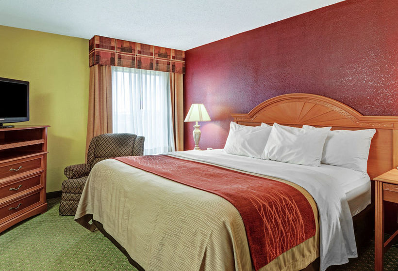 Hotel Comfort Inn & Suites Airport Little Rock  | Little Rock | Arkansas | United States 16