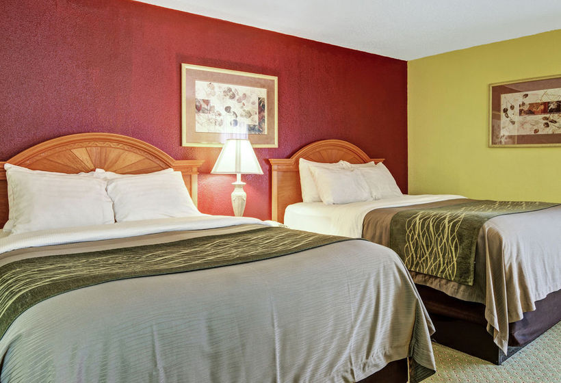 Hotel Comfort Inn & Suites Airport Little Rock  | Little Rock | Arkansas | United States 19
