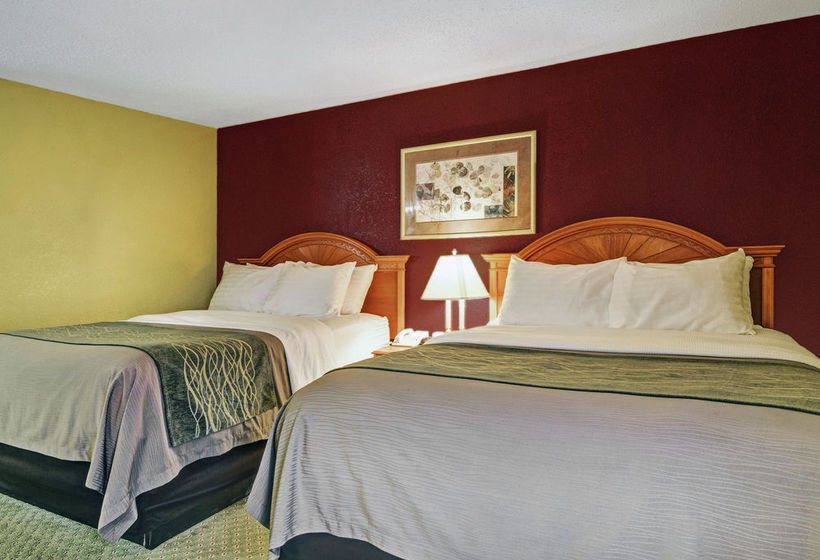 Hotel Comfort Inn & Suites Airport Little Rock  | Little Rock | Arkansas | United States 6