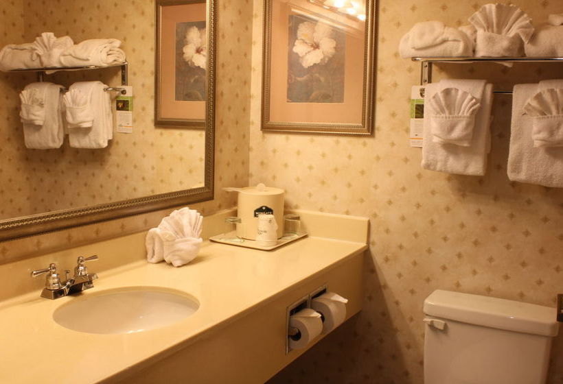 Hotel Wingate By Wyndham Atlanta - Duluth  | Duluth | Georgia | United States 1