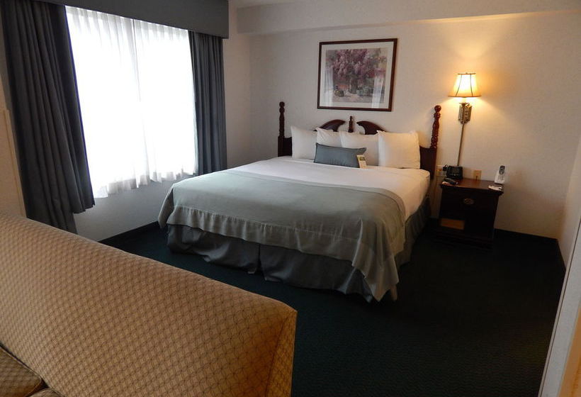 Hotel Wingate By Wyndham Atlanta - Duluth  | Duluth | Georgia | United States 15