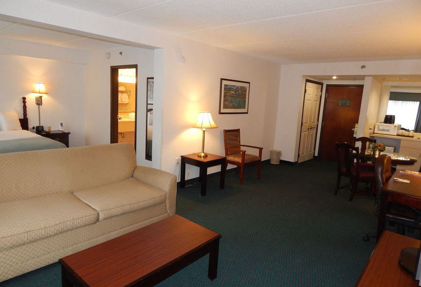 Hotel Wingate By Wyndham Atlanta - Duluth  | Duluth | Georgia | United States 19