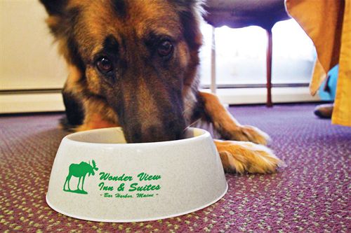 Hotel Wonder View Inn & Suites  | Bar Harbor | Maine | United States 9