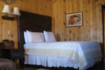 Hotel Desert Rose Inn & Suites