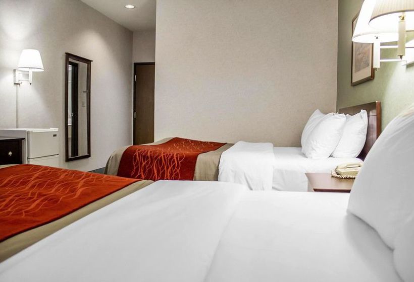 Hotel Comfort Inn & Suites  | Streetsboro | Ohio | Estados Unidos 11