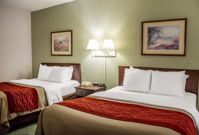 Hotel Comfort Inn & Suites  | Streetsboro | Ohio | Estados Unidos 13