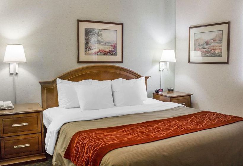 Hotel Comfort Inn & Suites  | Streetsboro | Ohio | Estados Unidos 15