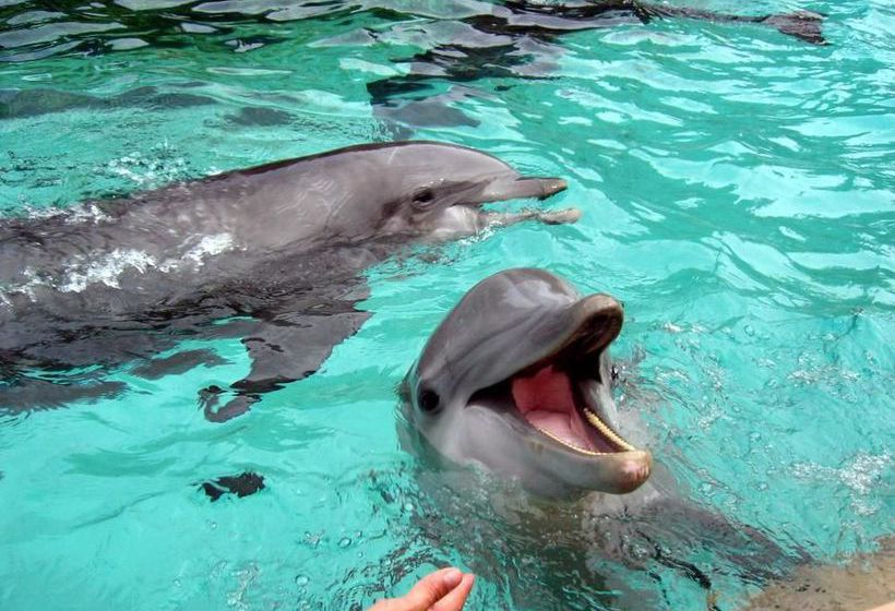 Hotel Best Western Plus Hill Country Suites  | San Antonio | Texas | United States 14