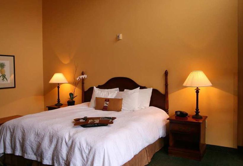 Hotel Hampton Inn & Suites New Orleans-Convention Center  | New Orleans | Louisiana | United States 2