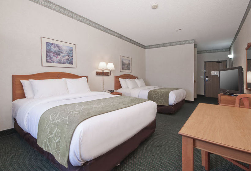 Hotel Comfort Suites At Metro Center  | Phoenix | Arizona | United States 3