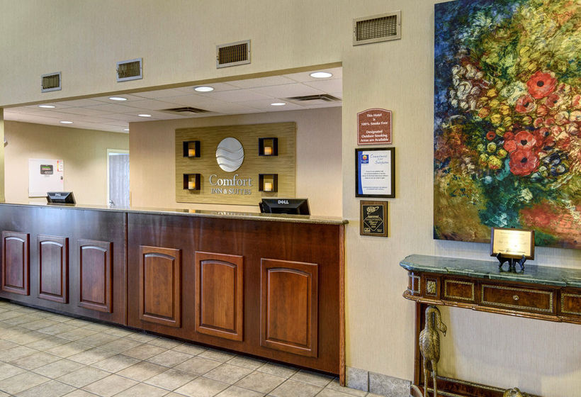 Hotel Comfort Inn & Suites Hot Springs  | Hot Springs | Arkansas | United States 19