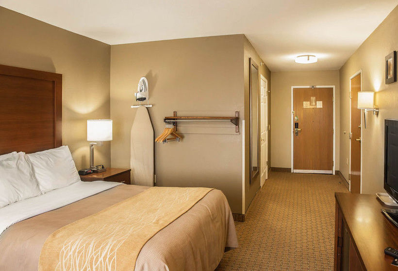 Hotel Comfort Inn & Suites Georgetown  | Georgetown | Delaware | United States 10