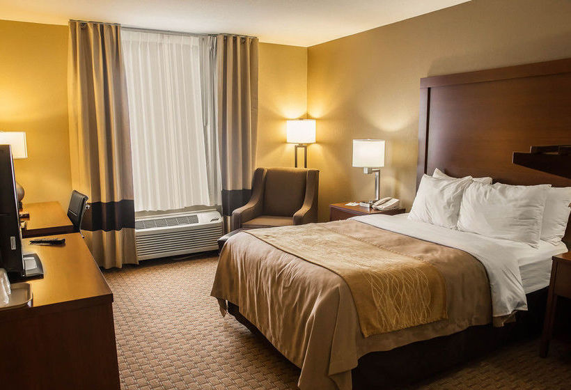 Hotel Comfort Inn & Suites Georgetown  | Georgetown | Delaware | United States 11