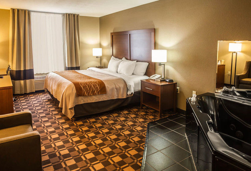 Hotel Comfort Inn & Suites Georgetown  | Georgetown | Delaware | United States 18