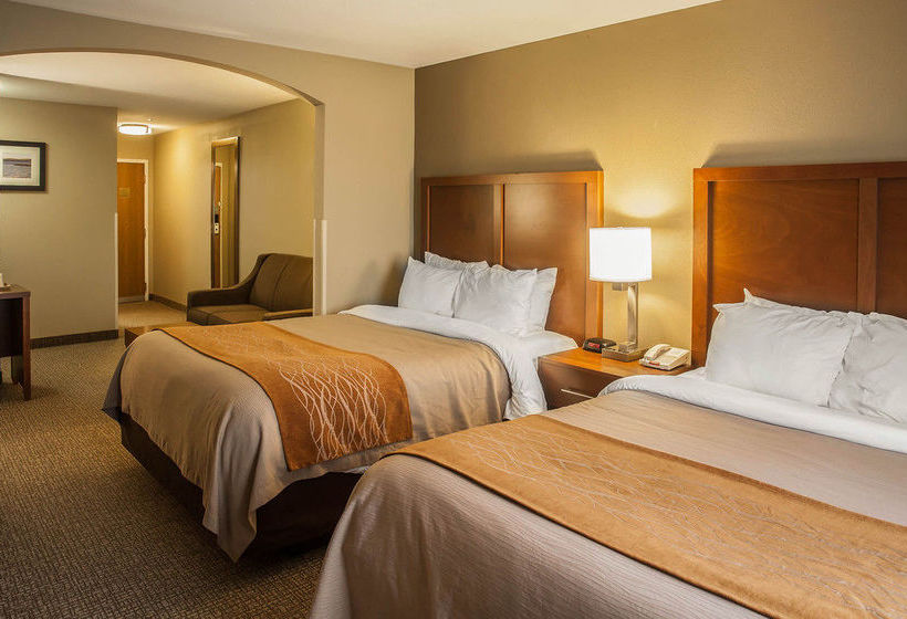 Hotel Comfort Inn & Suites Georgetown  | Georgetown | Delaware | United States 6
