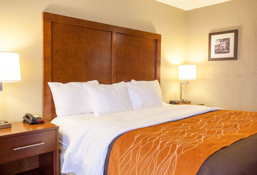 Hotel Comfort Inn I-40 East  | North Little Rock | Arkansas | United States 18