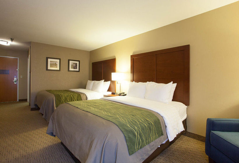 Hotel Comfort Inn I-40 East  | North Little Rock | Arkansas | United States 9