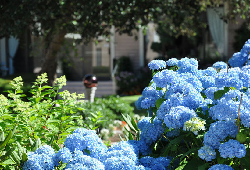 Cape Codder Resort & Spa  | Hyannis | Massachusetts | United States 4