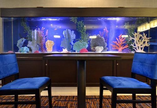 Hotel Courtyard by Marriott Cape Cod Hyannis  | Hyannis | Massachusetts | United States 12