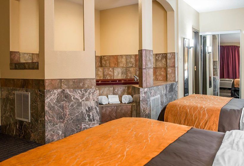 Hotel Comfort Inn Battle Creek  | Battle Creek | Michigan | United States 10