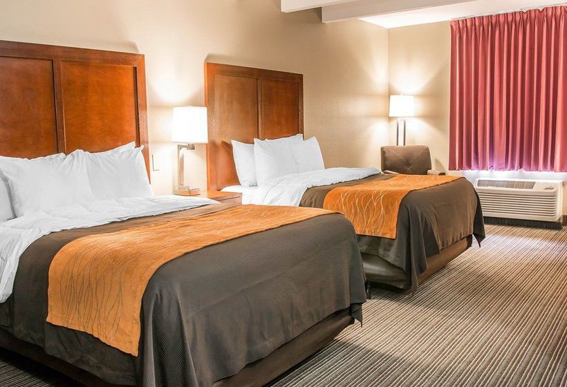 Hotel Comfort Inn Battle Creek  | Battle Creek | Michigan | United States 17