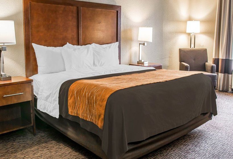 Hotel Comfort Inn Battle Creek  | Battle Creek | Michigan | United States 19