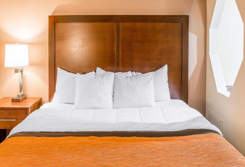 Hotel Comfort Inn Battle Creek  | Battle Creek | Michigan | United States 6