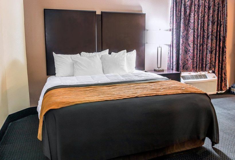 Hotel Comfort Inn Battle Creek  | Battle Creek | Michigan | United States 8