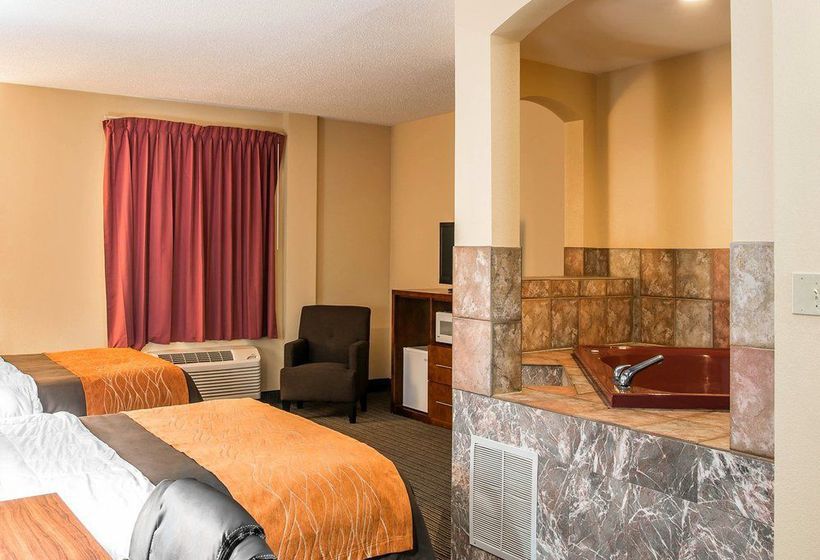 Hotel Comfort Inn Battle Creek  | Battle Creek | Michigan | United States 9