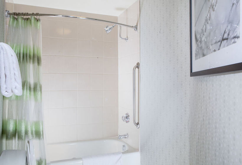 Hotel SpringHill Suites Norfolk Virginia Beach  | Norfolk | Virginia | United States 9