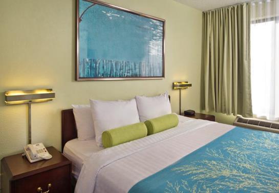 Hotel SpringHill Suites Richmond Virginia Center  | Glen Allen | Virginia | United States 6