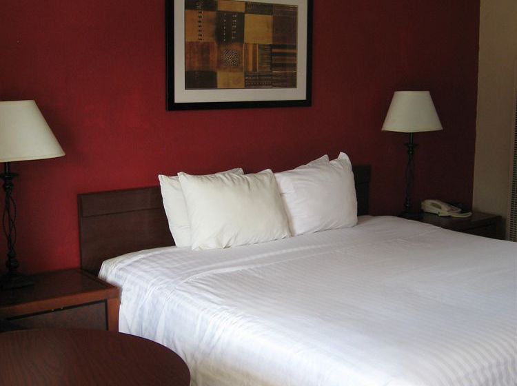 Hotel Rodeway Inn near NAU  | Flagstaff | Arizona | United States 6