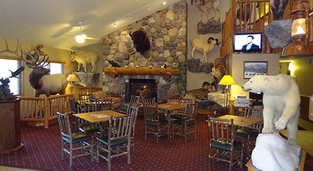 Hotel Americinn Cody  | Cody | Wyoming | United States 4