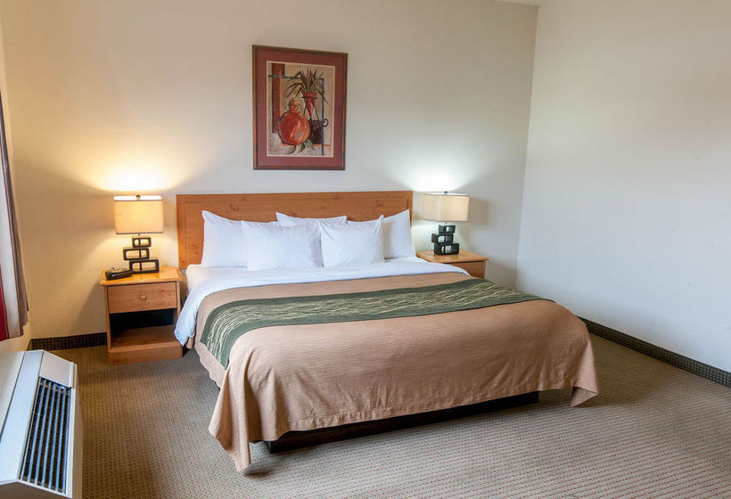 Hotel Comfort Inn Grants  | Grants | New Mexico | United States 7