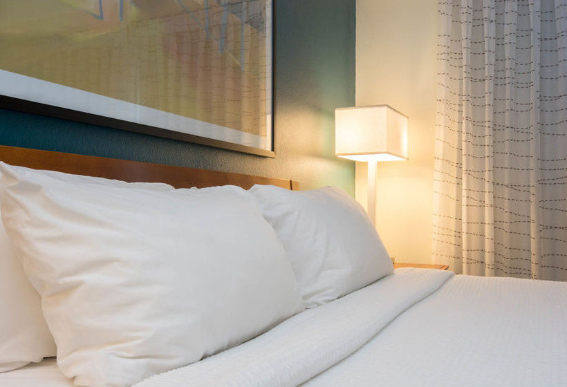 Hotel Residence Inn By Marriott Charlotte Piper Glen  | Charlotte | North Carolina | United States 10