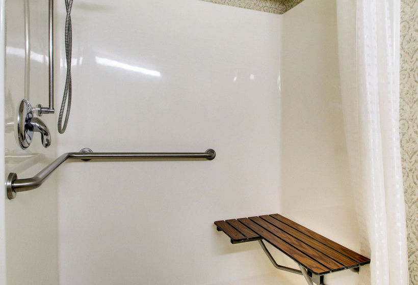 Hotel Econo Lodge Inn & Suites Flowood