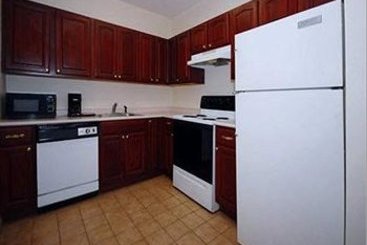 Hotel Comfort Inn & Suites Midtown  | Savannah | Georgia | United States 3