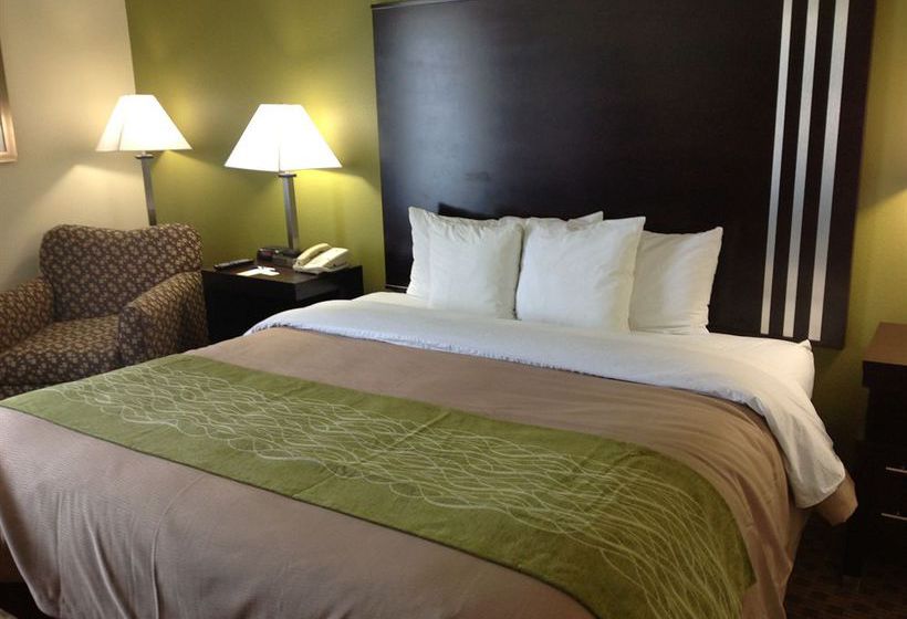 Hotel Comfort Inn East Indianapolis  | Indianapolis | Indiana | United States 1
