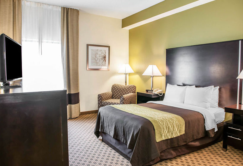 Hotel Comfort Inn East Indianapolis  | Indianapolis | Indiana | United States 12