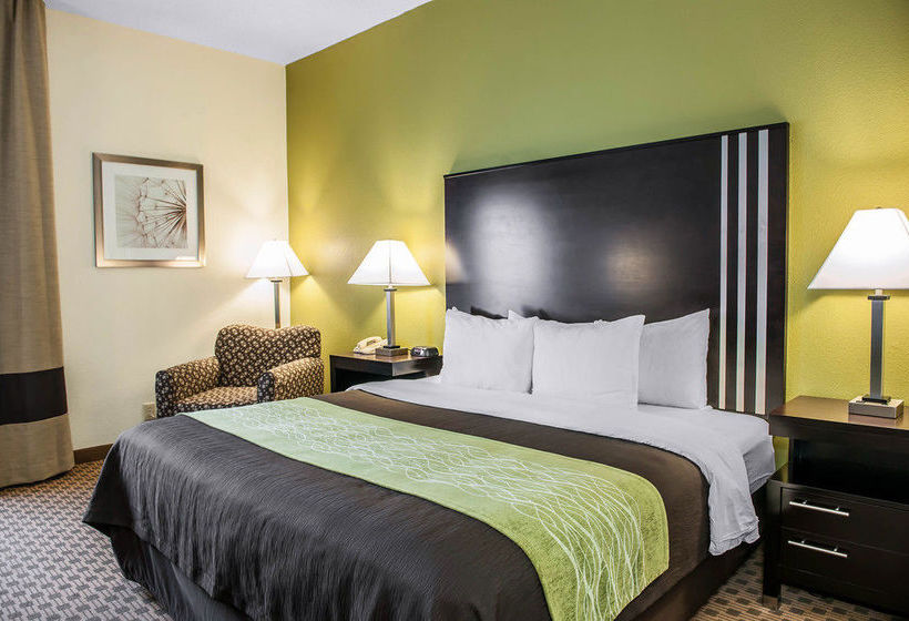 Hotel Comfort Inn East Indianapolis  | Indianapolis | Indiana | United States 16
