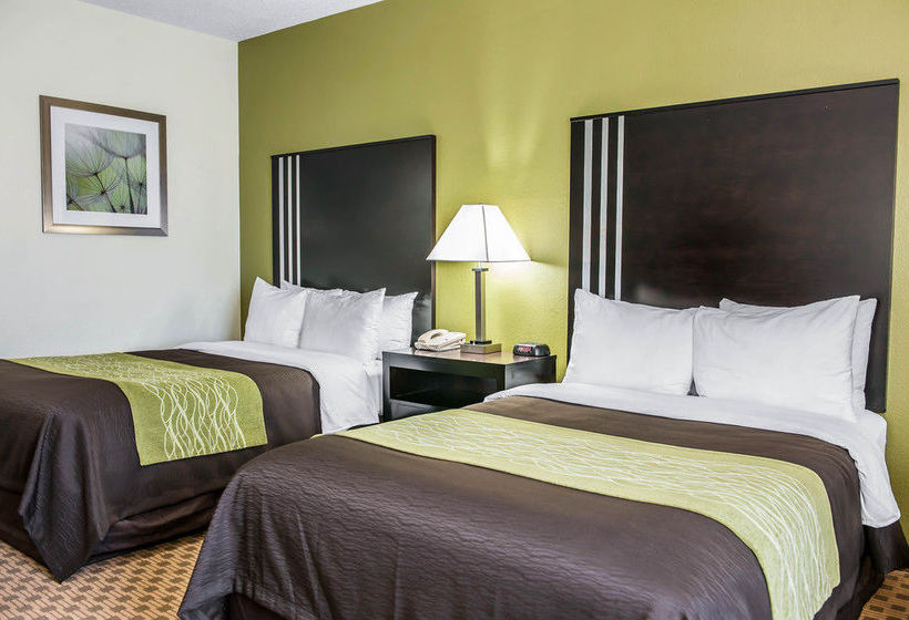 Hotel Comfort Inn East Indianapolis  | Indianapolis | Indiana | United States 17