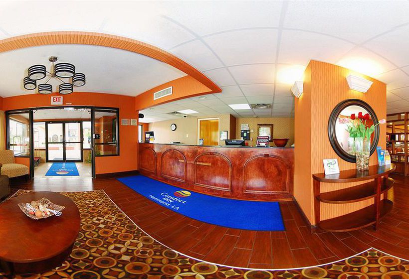Hotel Comfort Inn Hammond  | Hammond | Louisiana | United States 1