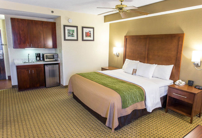 Hotel Comfort Inn Hammond  | Hammond | Louisiana | United States 10