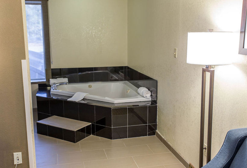 Hotel Comfort Inn Hammond  | Hammond | Louisiana | United States 15