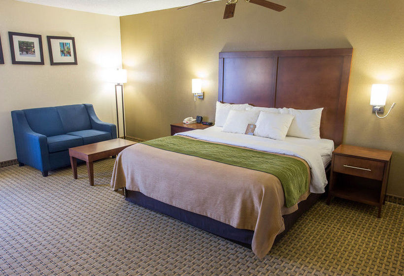 Hotel Comfort Inn Hammond  | Hammond | Louisiana | United States 18