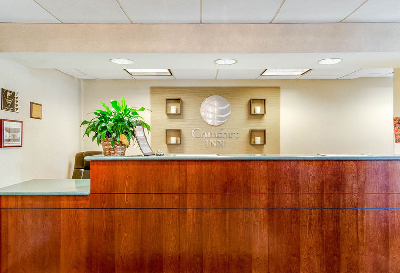 Hotel Comfort Inn Plymouth  | Plymouth | Massachusetts | United States 19